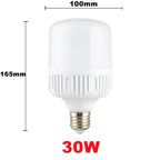 30W LED  Bulb